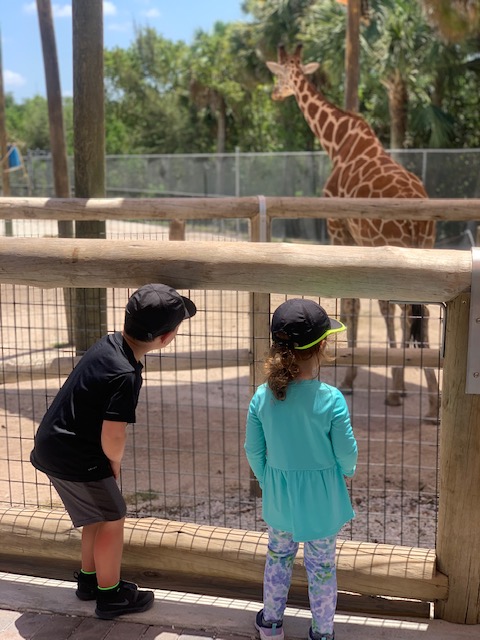 Naples Zoo - A Southwest Florida Adventure